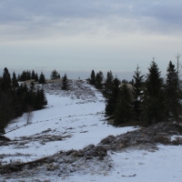 (36/138): Wycieczka g�rska w Beskid Ma�y 09.01.2015r. odPrze�. Kocierskiej przez Potr�jn�, Leskowiec, Gro� Jana Paw�a II do Rzyk Jag�dek