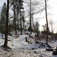 (63/138): Wycieczka g�rska w Beskid Ma�y 09.01.2015r. odPrze�. Kocierskiej przez Potr�jn�, Leskowiec, Gro� Jana Paw�a II do Rzyk Jag�dek