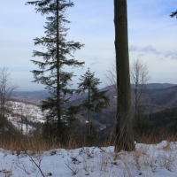 (65/138): Wycieczka g�rska w Beskid Ma�y 09.01.2015r. odPrze�. Kocierskiej przez Potr�jn�, Leskowiec, Gro� Jana Paw�a II do Rzyk Jag�dek