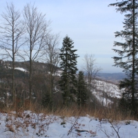 (66/138): Wycieczka g�rska w Beskid Ma�y 09.01.2015r. odPrze�. Kocierskiej przez Potr�jn�, Leskowiec, Gro� Jana Paw�a II do Rzyk Jag�dek