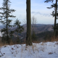 (67/138): Wycieczka g�rska w Beskid Ma�y 09.01.2015r. odPrze�. Kocierskiej przez Potr�jn�, Leskowiec, Gro� Jana Paw�a II do Rzyk Jag�dek