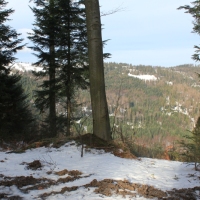 (69/138): Wycieczka g�rska w Beskid Ma�y 09.01.2015r. odPrze�. Kocierskiej przez Potr�jn�, Leskowiec, Gro� Jana Paw�a II do Rzyk Jag�dek