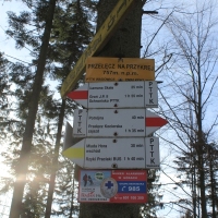 (70/138): Wycieczka g�rska w Beskid Ma�y 09.01.2015r. odPrze�. Kocierskiej przez Potr�jn�, Leskowiec, Gro� Jana Paw�a II do Rzyk Jag�dek