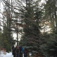 (75/138): Wycieczka g�rska w Beskid Ma�y 09.01.2015r. odPrze�. Kocierskiej przez Potr�jn�, Leskowiec, Gro� Jana Paw�a II do Rzyk Jag�dek