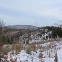 (77/138): Wycieczka g�rska w Beskid Ma�y 09.01.2015r. odPrze�. Kocierskiej przez Potr�jn�, Leskowiec, Gro� Jana Paw�a II do Rzyk Jag�dek