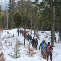 (79/138): Wycieczka g�rska w Beskid Ma�y 09.01.2015r. odPrze�. Kocierskiej przez Potr�jn�, Leskowiec, Gro� Jana Paw�a II do Rzyk Jag�dek