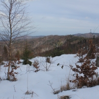 (80/138): Wycieczka g�rska w Beskid Ma�y 09.01.2015r. odPrze�. Kocierskiej przez Potr�jn�, Leskowiec, Gro� Jana Paw�a II do Rzyk Jag�dek
