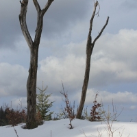 (87/138): Wycieczka g�rska w Beskid Ma�y 09.01.2015r. odPrze�. Kocierskiej przez Potr�jn�, Leskowiec, Gro� Jana Paw�a II do Rzyk Jag�dek