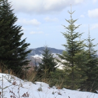 (88/138): Wycieczka g�rska w Beskid Ma�y 09.01.2015r. odPrze�. Kocierskiej przez Potr�jn�, Leskowiec, Gro� Jana Paw�a II do Rzyk Jag�dek