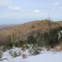 (89/138): Wycieczka g�rska w Beskid Ma�y 09.01.2015r. odPrze�. Kocierskiej przez Potr�jn�, Leskowiec, Gro� Jana Paw�a II do Rzyk Jag�dek