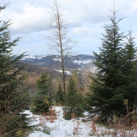 (92/138): Wycieczka g�rska w Beskid Ma�y 09.01.2015r. odPrze�. Kocierskiej przez Potr�jn�, Leskowiec, Gro� Jana Paw�a II do Rzyk Jag�dek