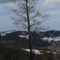 (93/138): Wycieczka g�rska w Beskid Ma�y 09.01.2015r. odPrze�. Kocierskiej przez Potr�jn�, Leskowiec, Gro� Jana Paw�a II do Rzyk Jag�dek
