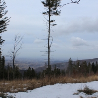 (102/138): Wycieczka g�rska w Beskid Ma�y 09.01.2015r. odPrze�. Kocierskiej przez Potr�jn�, Leskowiec, Gro� Jana Paw�a II do Rzyk Jag�dek