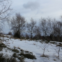 (106/138): Wycieczka g�rska w Beskid Ma�y 09.01.2015r. odPrze�. Kocierskiej przez Potr�jn�, Leskowiec, Gro� Jana Paw�a II do Rzyk Jag�dek