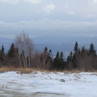 (109/138): Wycieczka g�rska w Beskid Ma�y 09.01.2015r. odPrze�. Kocierskiej przez Potr�jn�, Leskowiec, Gro� Jana Paw�a II do Rzyk Jag�dek