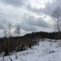 (122/138): Wycieczka g�rska w Beskid Ma�y 09.01.2015r. odPrze�. Kocierskiej przez Potr�jn�, Leskowiec, Gro� Jana Paw�a II do Rzyk Jag�dek