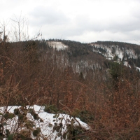 (131/138): Wycieczka g�rska w Beskid Ma�y 09.01.2015r. odPrze�. Kocierskiej przez Potr�jn�, Leskowiec, Gro� Jana Paw�a II do Rzyk Jag�dek