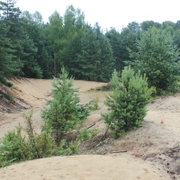 (146/240): Zamki i warownie Wyyny Krakowsko-Czstochowskiej 11-15.07.2015r.