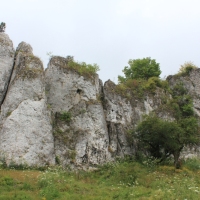 (151/240): Zamki i warownie Wyyny Krakowsko-Czstochowskiej 11-15.07.2015r.