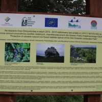 (154/240): Zamki i warownie Wyyny Krakowsko-Czstochowskiej 11-15.07.2015r.