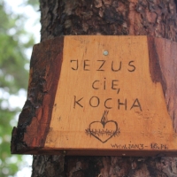 (166/240): Zamki i warownie Wyyny Krakowsko-Czstochowskiej 11-15.07.2015r.