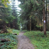 (6/64): Wycieczka w Beskid Żywiecki 18.10.2015r.