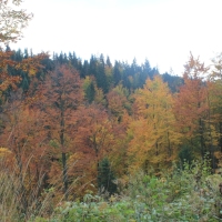 (62/64): Wycieczka w Beskid ywiecki 18.10.2015r.