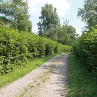 (249/259): Beskid Niski 20-24.07.2015r.