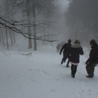 (55/70): Wycieczka w Beskid lsko-Morawski 22.03.2015r.