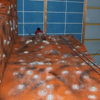 (11/25): Zajcia na ciance wspinaczkowej 25.09.2015r.