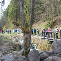 (5/112): Wycieczka w Pieniny - Wysoka - 26.04.2015r.