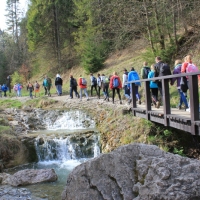 (6/112): Wycieczka w Pieniny - Wysoka - 26.04.2015r.