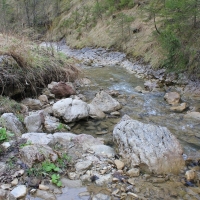 (10/112): Wycieczka w Pieniny - Wysoka - 26.04.2015r.