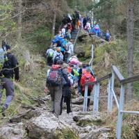 (15/112): Wycieczka w Pieniny - Wysoka - 26.04.2015r.