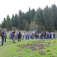 (18/112): Wycieczka w Pieniny - Wysoka - 26.04.2015r.