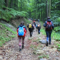 (11/83): Wycieczka na Wielki Krywa� 28.06.2015r.