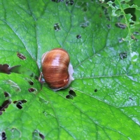 (12/83): Wycieczka na Wielki Krywa� 28.06.2015r.