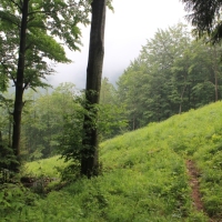 (14/83): Wycieczka na Wielki Krywa� 28.06.2015r.