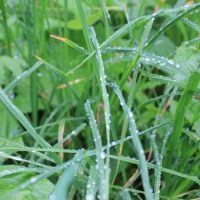 (19/83): Wycieczka na Wielki Krywa� 28.06.2015r.