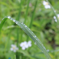 (20/83): Wycieczka na Wielki Krywa� 28.06.2015r.