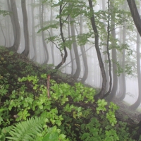 (22/83): Wycieczka na Wielki Krywa� 28.06.2015r.