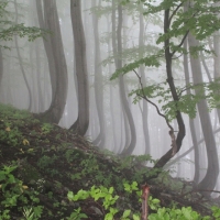 (23/83): Wycieczka na Wielki Krywa� 28.06.2015r.