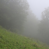(27/83): Wycieczka na Wielki Krywa� 28.06.2015r.