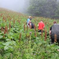 (29/83): Wycieczka na Wielki Krywa� 28.06.2015r.