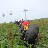 (30/83): Wycieczka na Wielki Krywa� 28.06.2015r.