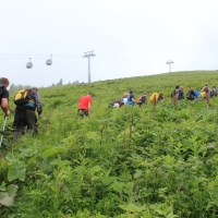 (31/83): Wycieczka na Wielki Krywa� 28.06.2015r.