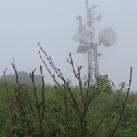 (35/83): Wycieczka na Wielki Krywa� 28.06.2015r.