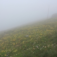 (40/83): Wycieczka na Wielki Krywa� 28.06.2015r.