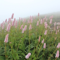 (63/83): Wycieczka na Wielki Krywa� 28.06.2015r.