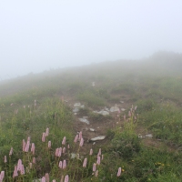 (64/83): Wycieczka na Wielki Krywa� 28.06.2015r.